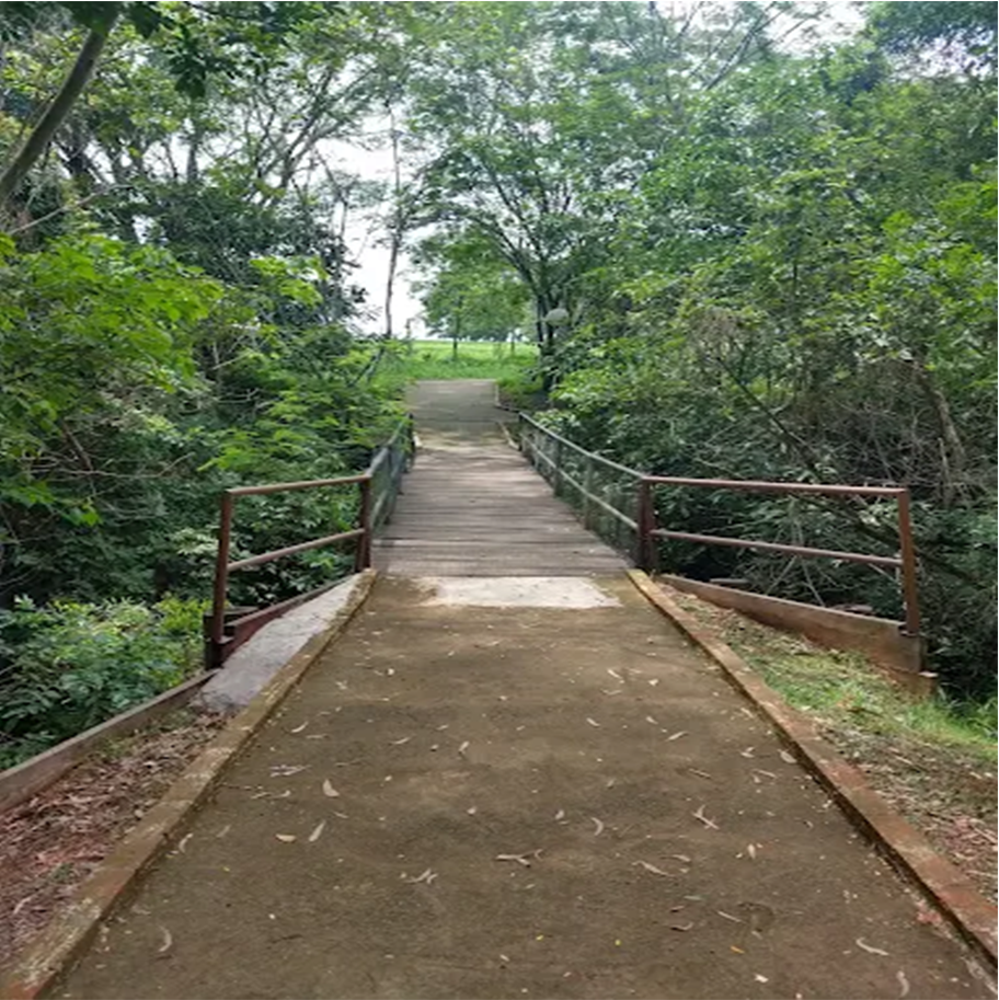 Passeios no Parque Egídio Labronici
